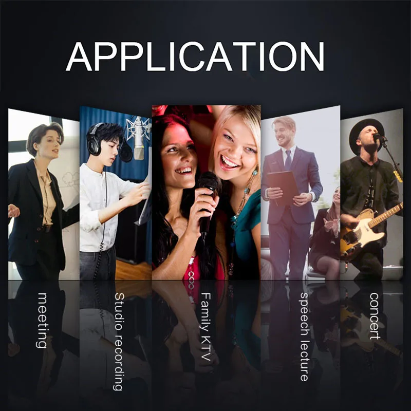 Профессиональная система беспроводного микрофона VHF ручная запись караоке