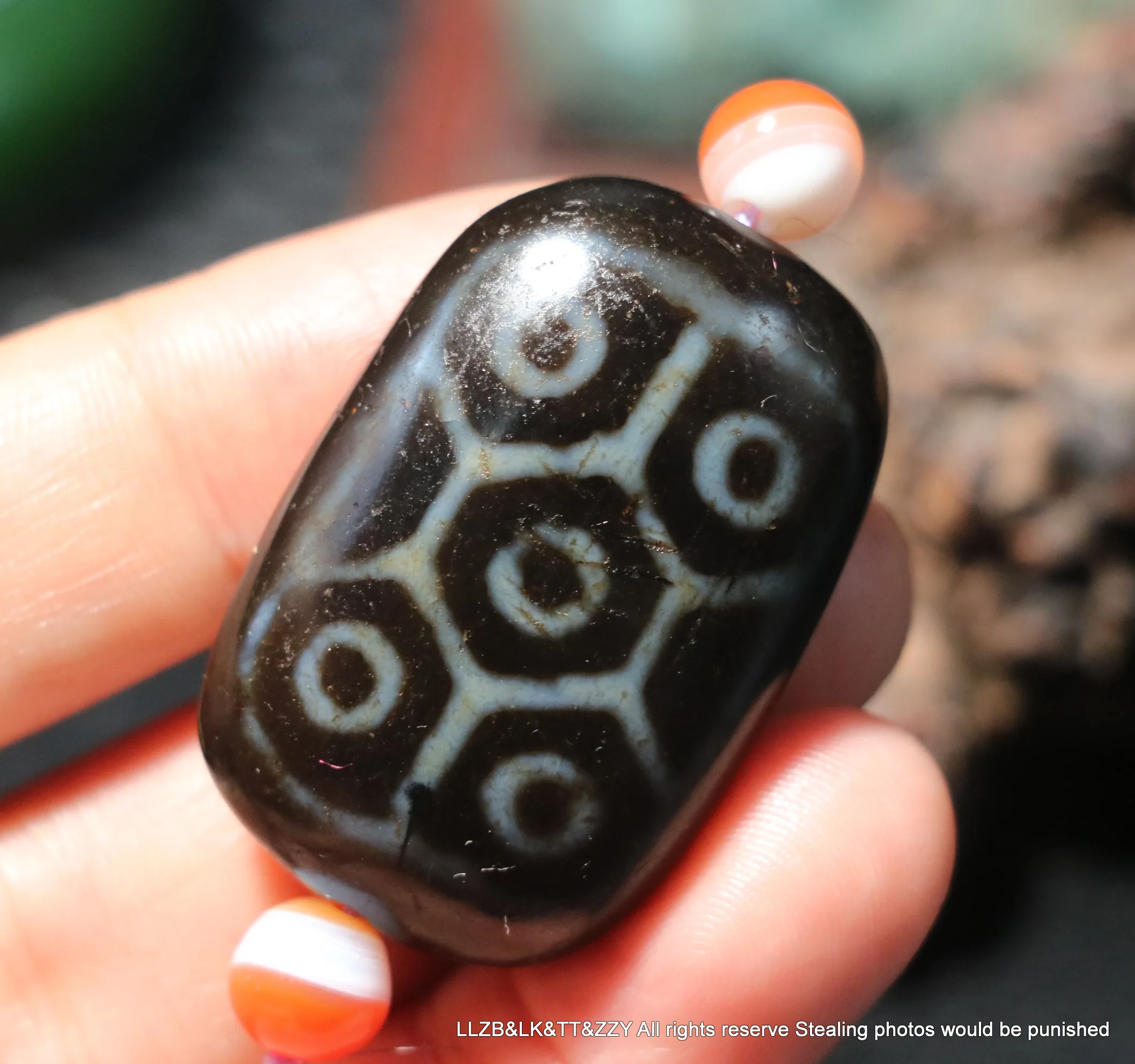 

Treasure Talisman Magic Power Tibetan Old Oily Agate 5 Eyed Turtle Shell Longevity Flat Shape dZi Bead Totem Amulet timestown