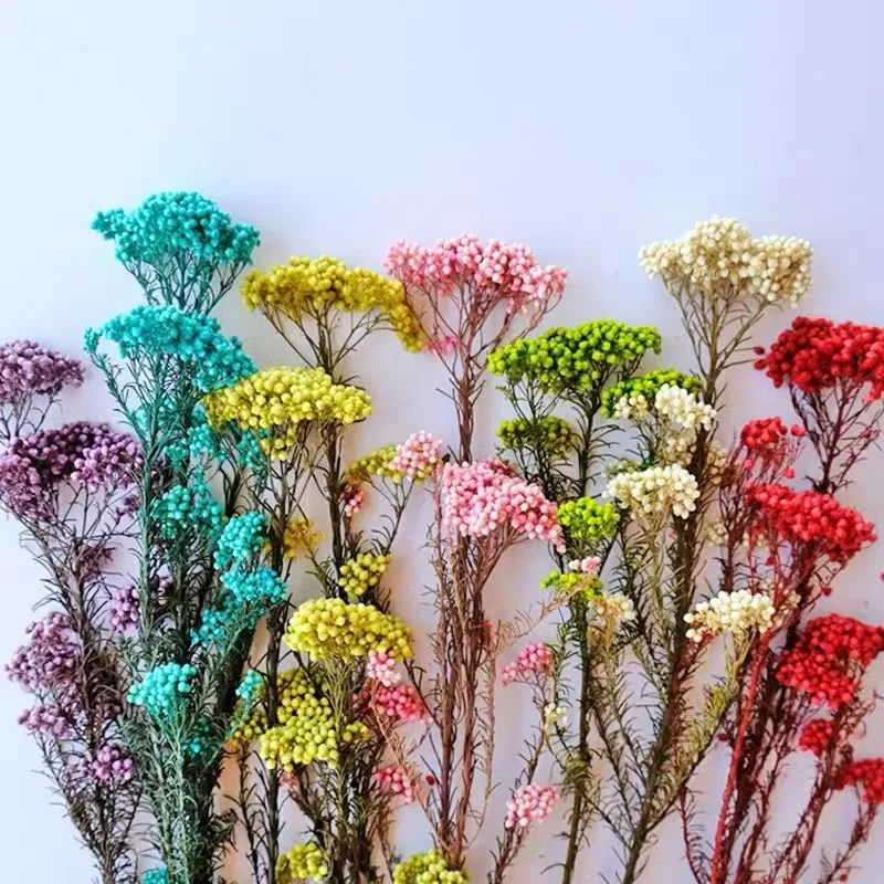 

50gNatural Real Dried Millet Flower Bouquet New Year Decorations 2023 Home Decor Items With Free Shipping Gift Female Pampas