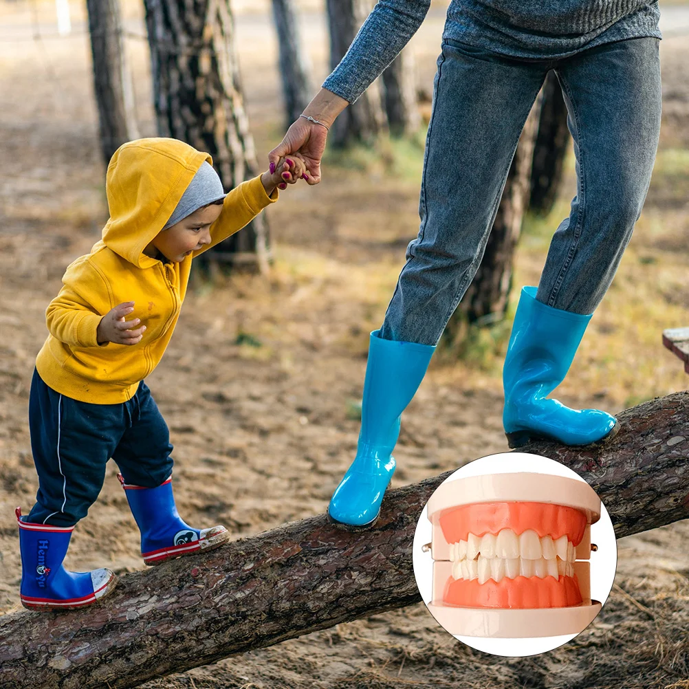 

1 шт. модель профессионального премиального образования для детей