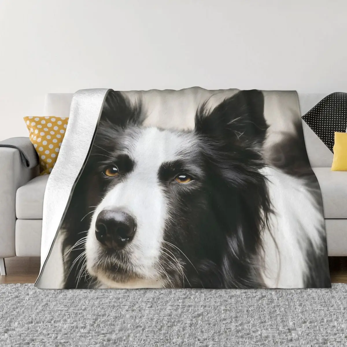 

Border Collie Running In The Water Fleece Throw Blanket, Fuzzy Blanket for Bed Sofa Couch House Warm Decor Gifts Idea Warm Throw