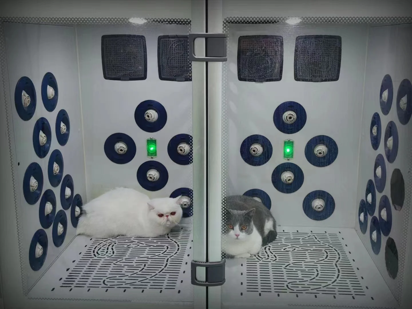 TOPVETMED Высококачественная интеллектуальная автоматическая машина для сушки