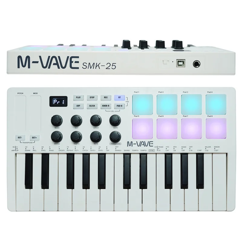 

Portable MIDI 25-Key MIDI Arranger Keyboard Controller 8 Backlit Drum Pads 8 Knobs 8 RGB Music Electronic Keyboard Instrumets