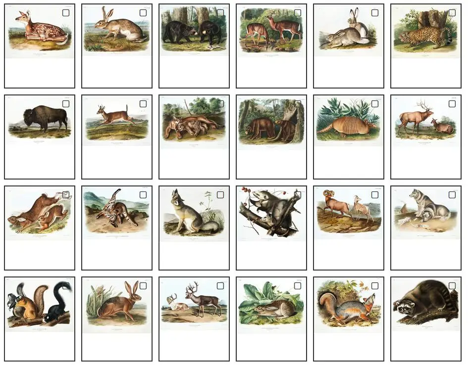 

32 вида на выбор, винтажный рисунок животных и дикой природы без рамки, художественный плакат на холсте для украшения гостиной, домашняя Настенная картина