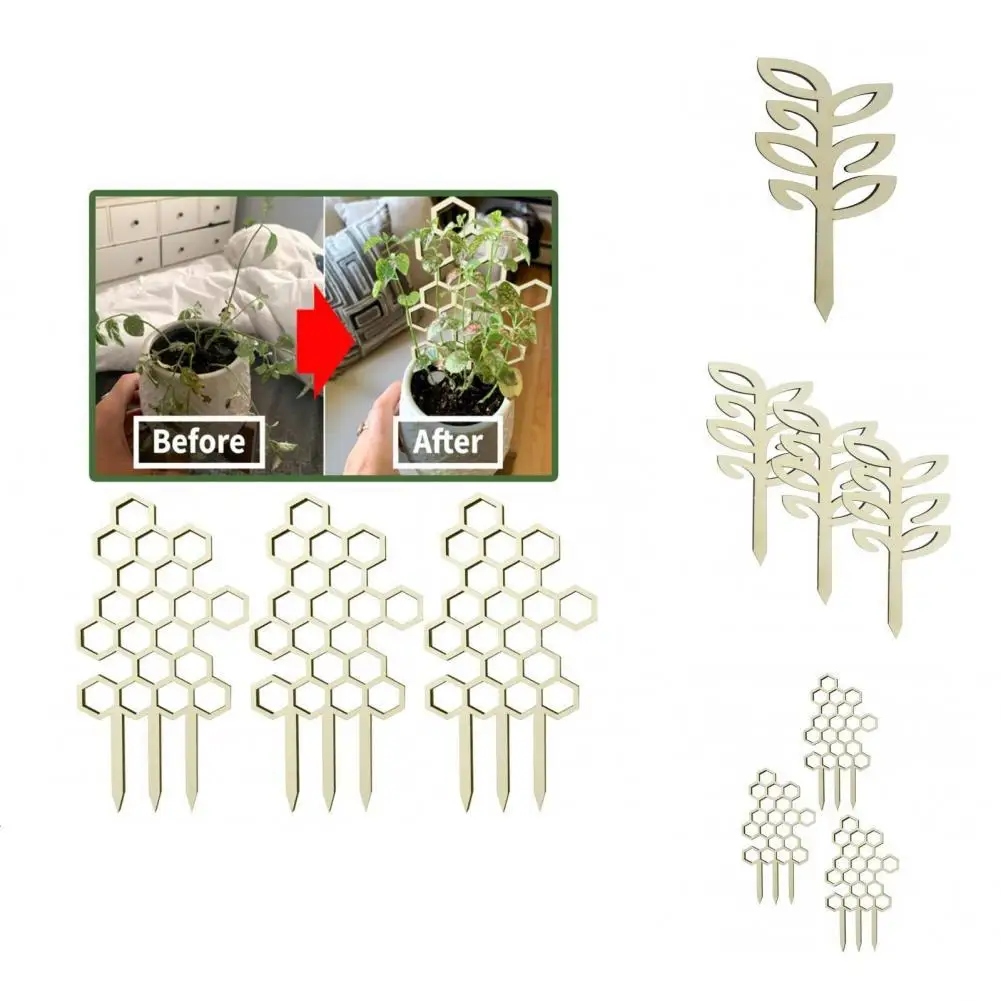 

Eye-catching Eco-friendly Lovely Leaf Shape Plant Support Rack for Bonsai