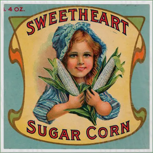 

1p, Милая кукуруза, фрукты, этикетка, металлический знак, БЕСПЛАТНАЯ ДОСТАВКА, винтажный декор для кухни