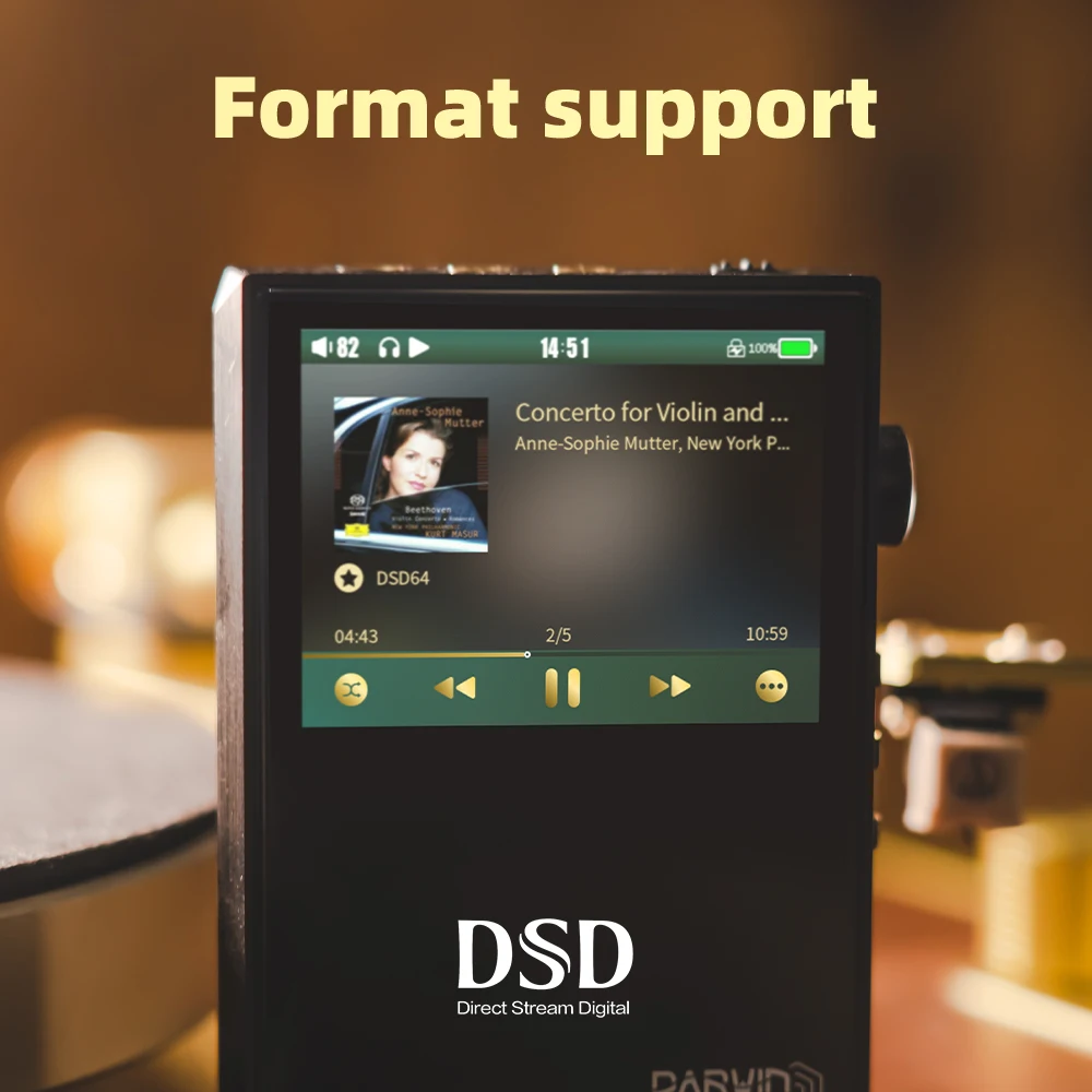 HiBy RS2 Дарвин R2R USB DAC Hi-Res музыкальный плеер MP3 Bluetooth DSD256 MQA8x SPDIF 3 5/4 4 мм выход двойная