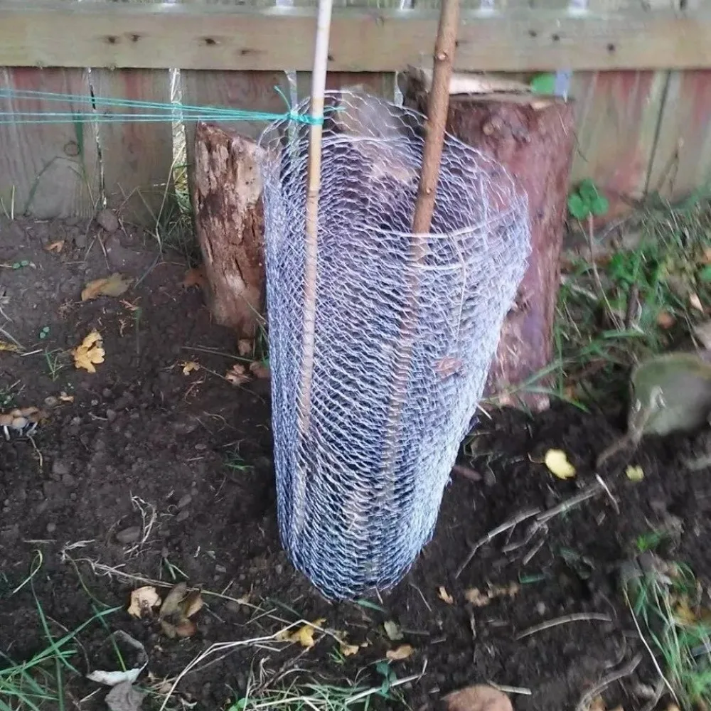 Шестигранная проволочная сетка для курицы оцинкованная 0 1/0 35/0 4 м