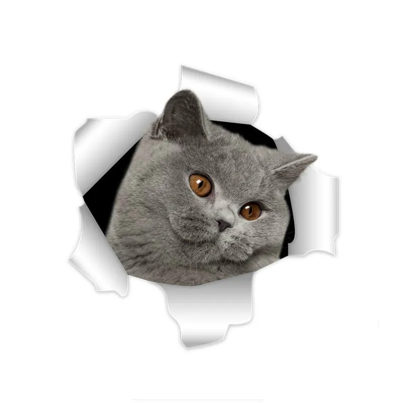 

Z134# 13CM/17CM Personality 3D British Shorthair Cat Car Stickers Accessories Sunscreen Waterproof PVC