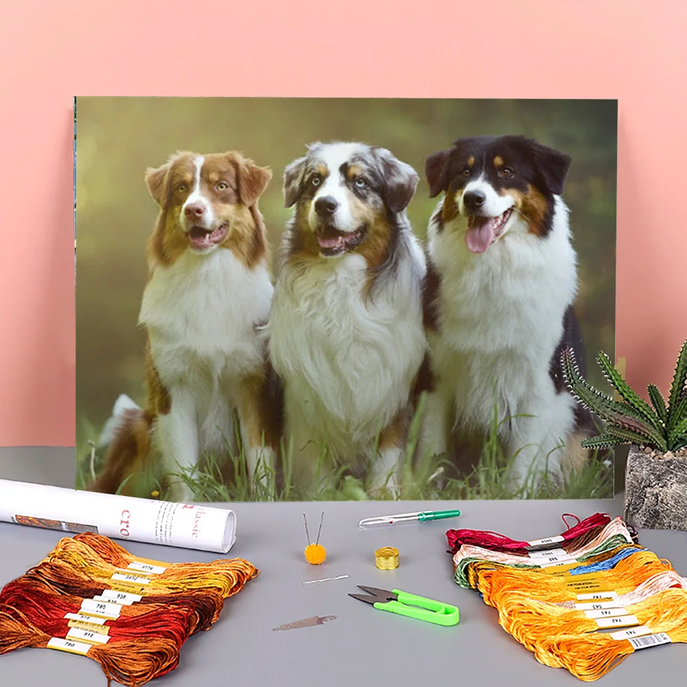 

Animal Border Collie Printed Fabric 11CT Cross-Stitch Full Kit DIY Embroidery DMC Threads Handicraft Craft Needlework Decor