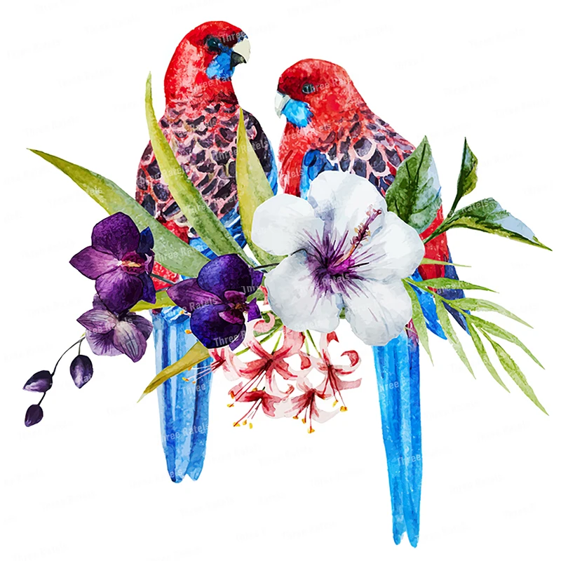 

Настенная наклейка ПВХ parrot