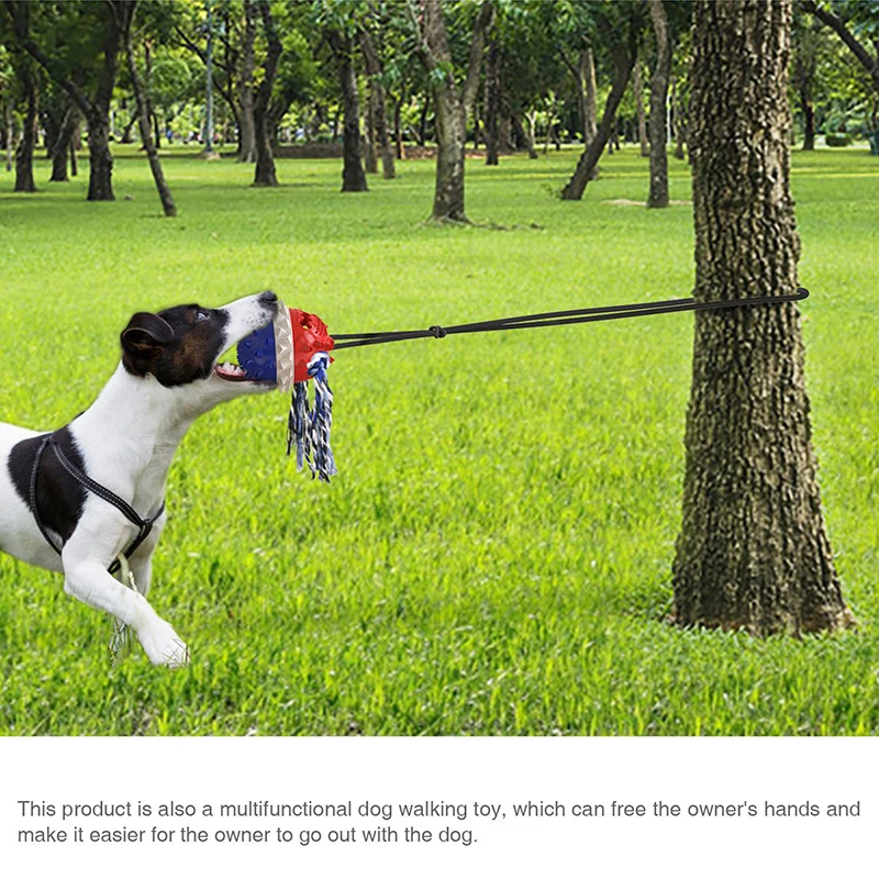 

Pet accessories, new products, hot sale, dog teeth, bite resistance, outdoor strong rope ball, sounding dog toy supplies