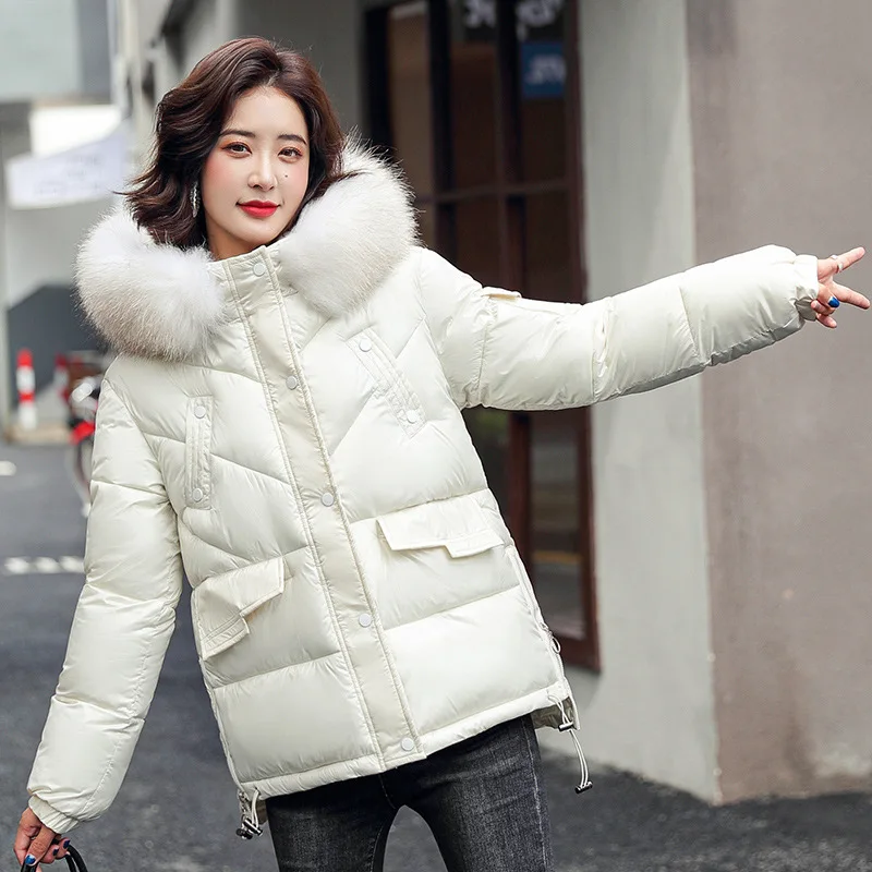 

2022 New Winter Stand Collar Cotton-padded Coat Women qing018