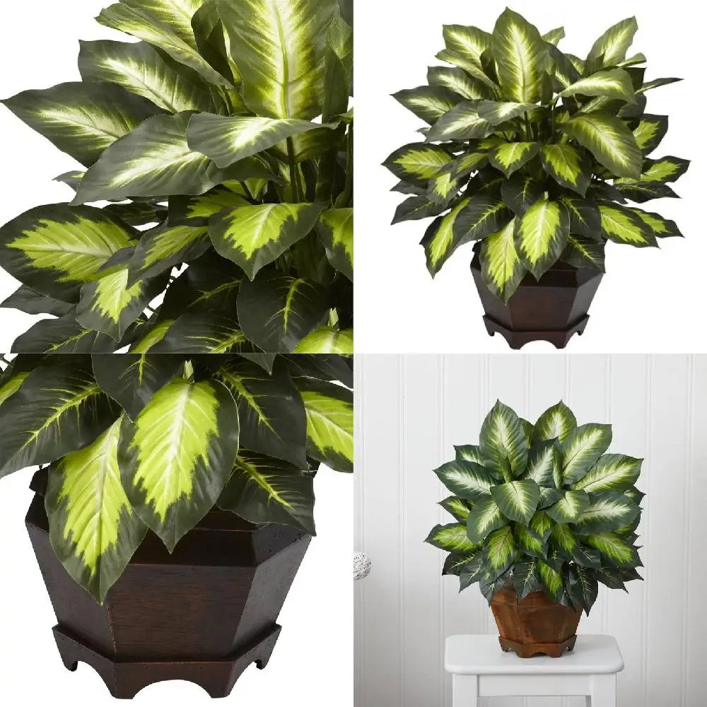 

Leaves Beautiful Triple Golden Dieffenbachia Artificial Plant with Wood Vase, Fresh-Looking Green Leaves for Home Decoration Dur