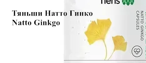 2шт Тяньши Натто Гинко Natto Ginkgo - изображение