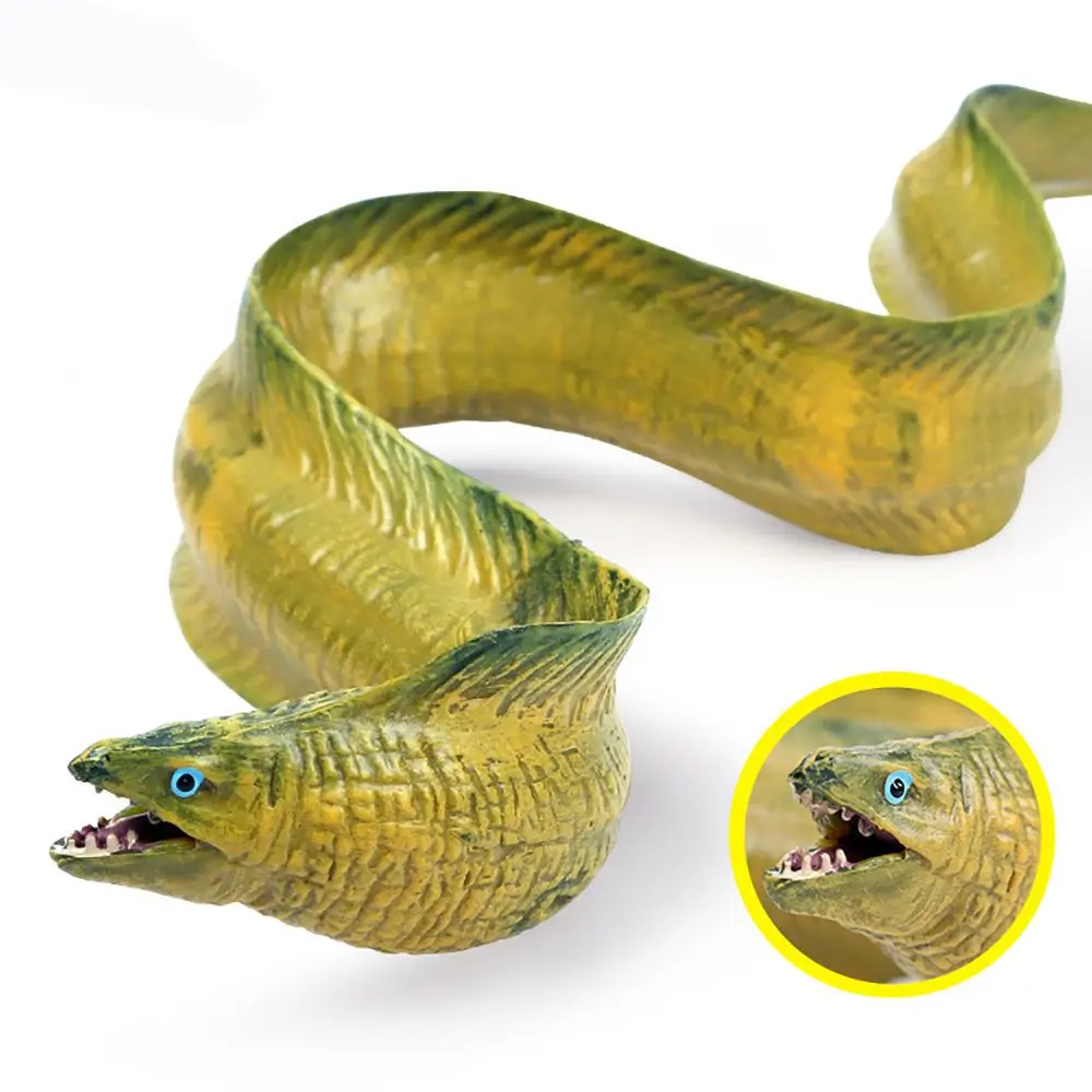 

Early Learning Educational Toy Kids Cognition Moray Eel Model Marine Organism Simulation Sealife Electric Eel Figurines