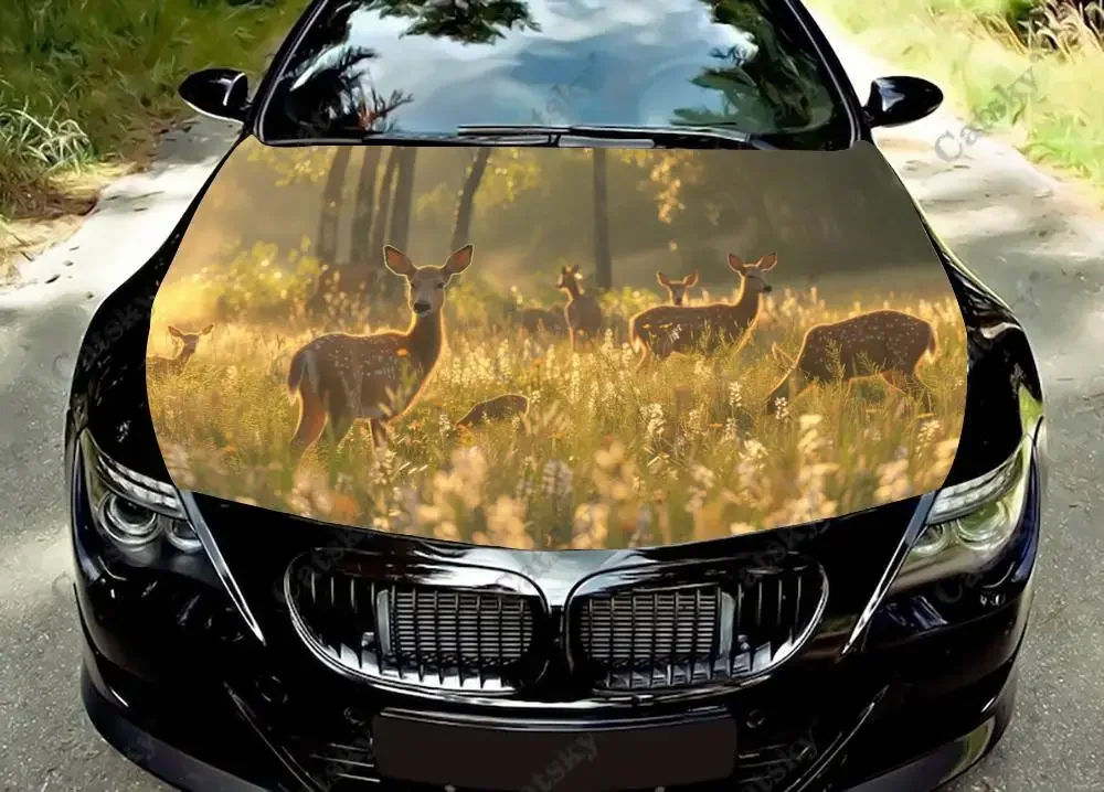 Дикая природа летом Луг виниловые наклейки на капот автомобиля виниловая пленка