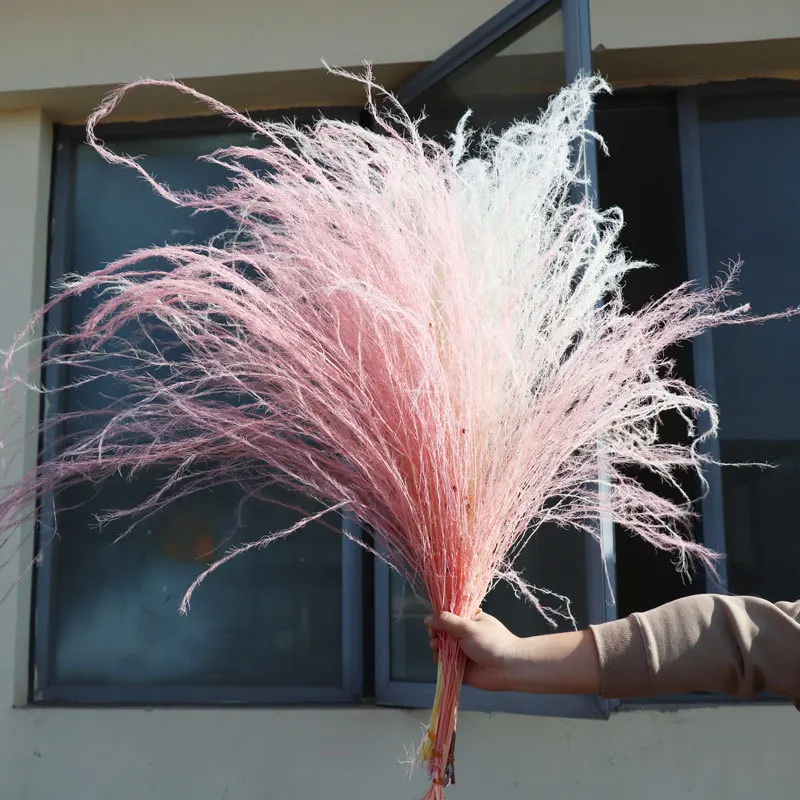 

50-70cm Boho Grass Dried Flower Natural Preserved Amaranthus Dry Decorative Flower Hanging Decoration Wedding Floral Arrangement