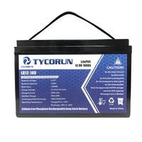 tycorun lithium ion battery pack lifepo4 battery 12v 20ah 40ah 50ah 100ah 200ah storage for solar panels