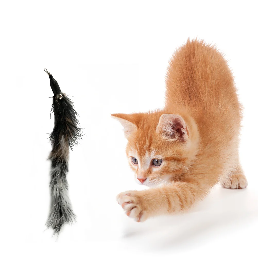 

Cattoy Wand Catsteaser Replacement Indoorinteractive Kitten Catch Refills Fishing Pole Refill Kitty Stick Wheel Exerciser Wands