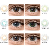 Magister Color Lens for Eyes Year Natural Eye Color Lens Cosmetic Color Contact Lenses for Eye Beauty Pupils 2Pcs Colored Lens
