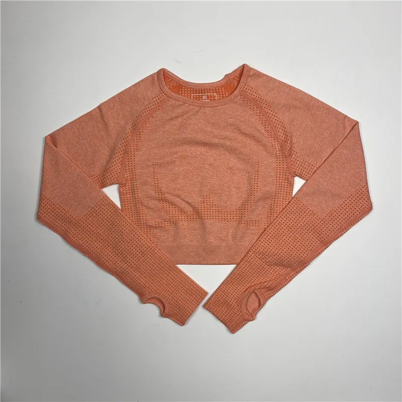 Seamless Yoga Shirts Crop Top Long Sleeves Shirts For Women Yoga Sports Fitness Gym Cloth Workout Tops Fitness Sports Shirts