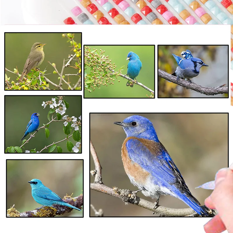 

Bird Diamond Painting Kits 5D Diy Copper Blue Flycatcher Full Drill Cross Stitch Embroidery Mosaic Art Picture of Handmade Gift