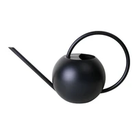 long mouth sprinkling watering can round ball metal stainless steel retro european flower plant pot portable garden tools decor
