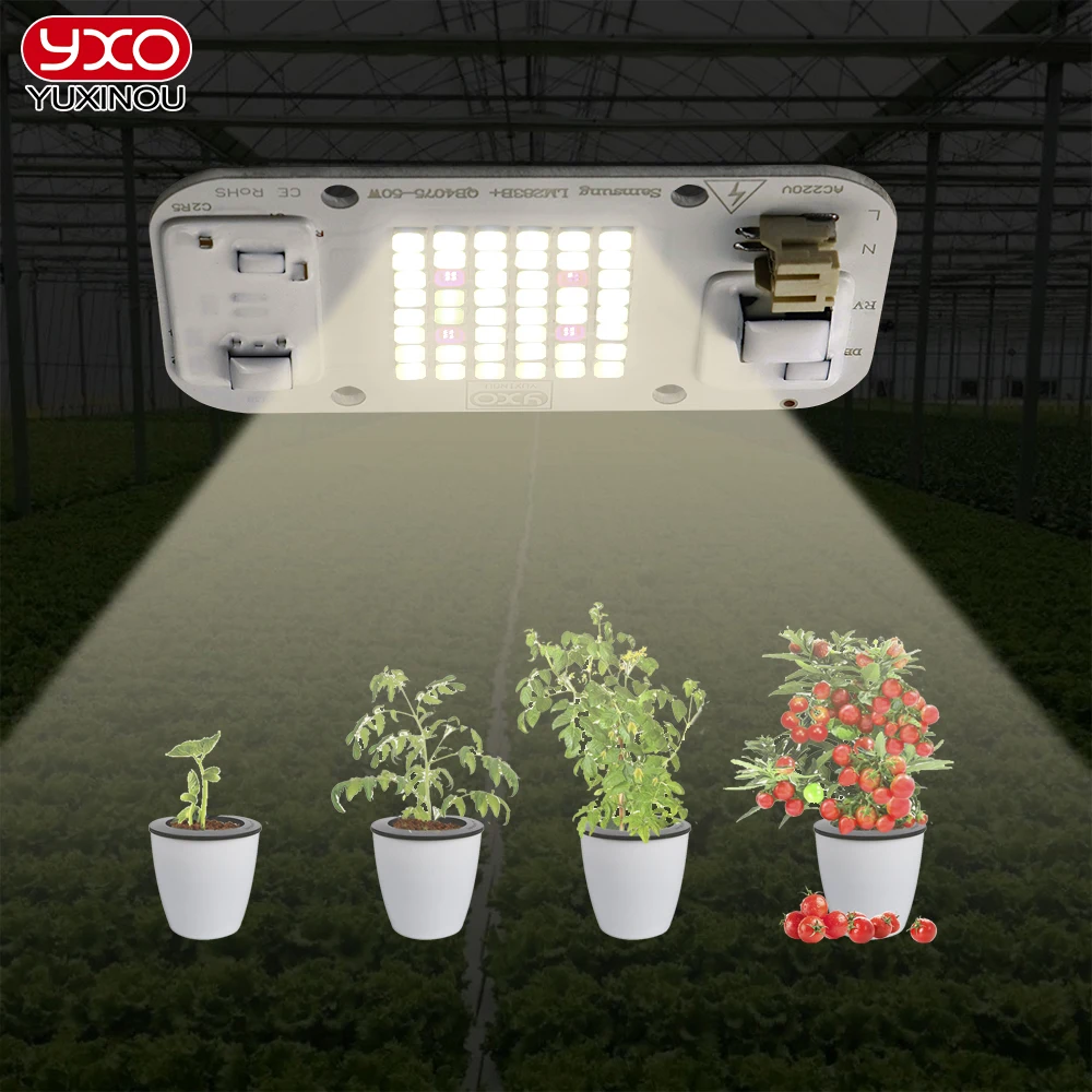 S  3500k+660nm For  Plant Seedling Growth And Flowering