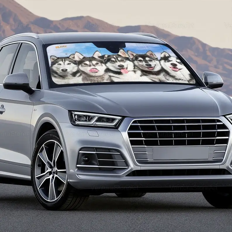 Рисунок 4 - Автомобильный солнцезащитный козырек Husky