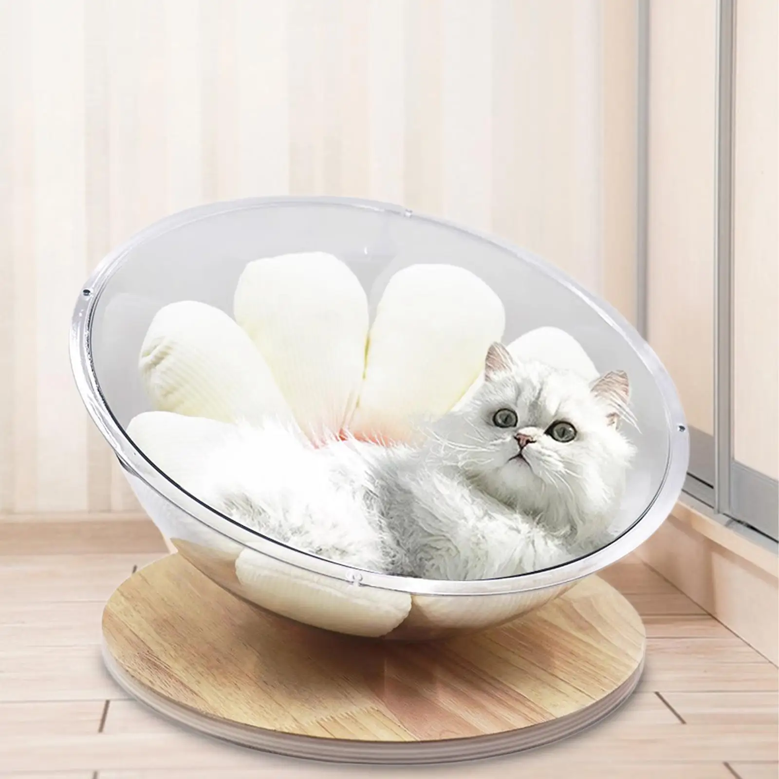 Современная акриловая кровать для кошек маленьких домашних