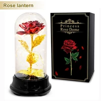 fashion lightweight memorable rose led dome string lamp for valentines day flower dome light glass dome lamp