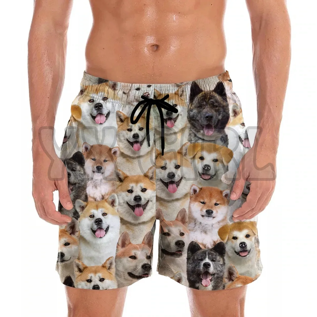 You Get A Lot Of Akita Inus Shorts 3D All Over Printed Men's Shorts Quick Drying Beach Shorts Summer Beach Swim Trunks