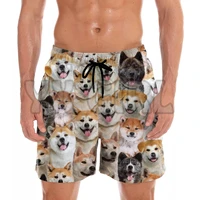 you get a lot of akita inus shorts 3d all over printed mens shorts quick drying beach shorts summer beach swim trunks