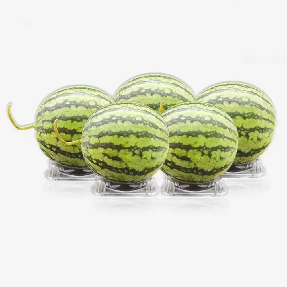

Thickened Plastic Melon Holders 50 Pcs Plastic Melon Cradle Sturdy Garden Watermelon Support Stand for Pumpkin Squash Fruits