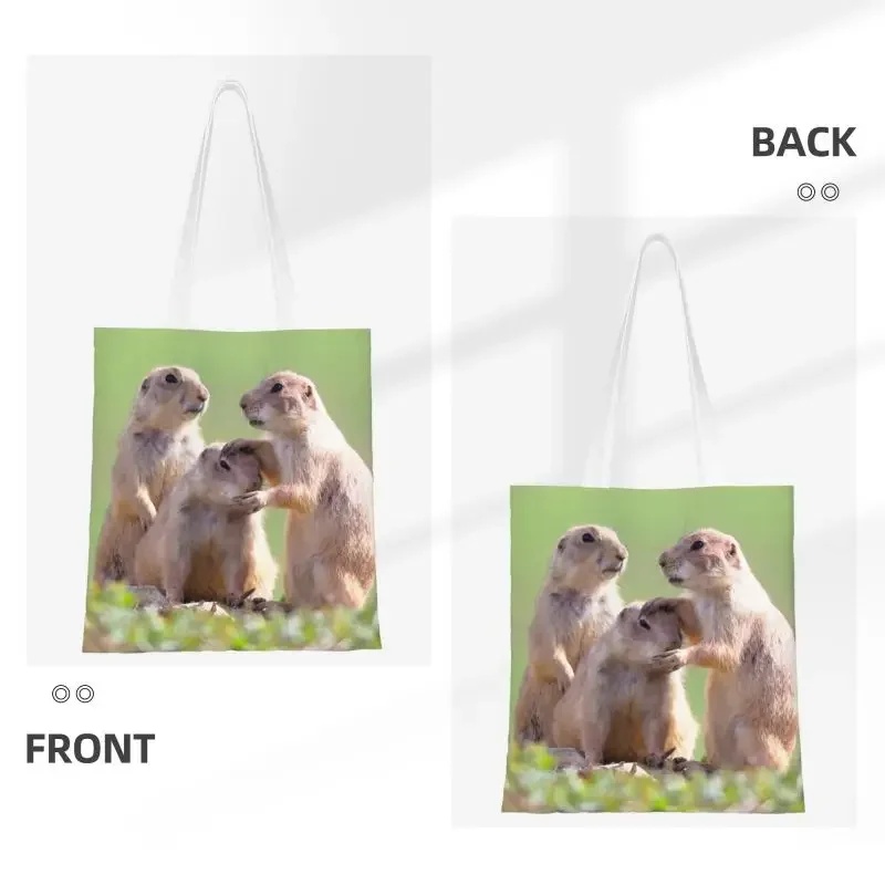 Переработанная Акварельная сумка для покупок собак Женская Холщовая Сумка-тоут