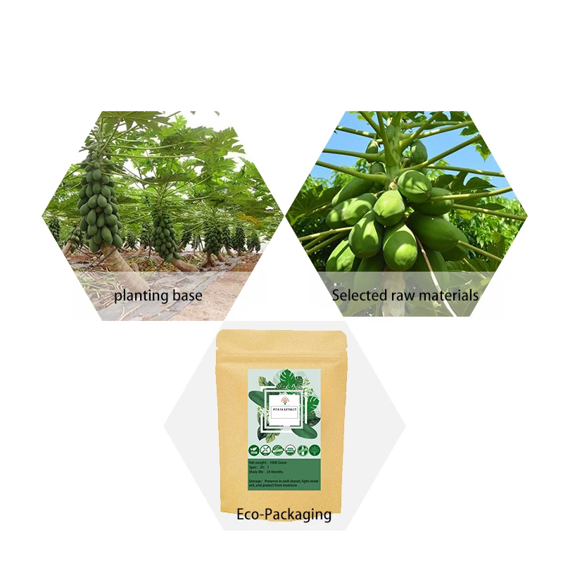 Лидер продаж порошок экстракта папайи косметическое сырье антивозрастной