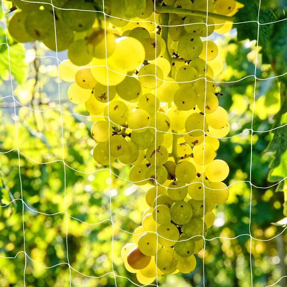 

Подъемная сетчатая лоза, гибкая искусственная фруктовая решетка для деревьев, полиэфирные растения, садовые фрукты