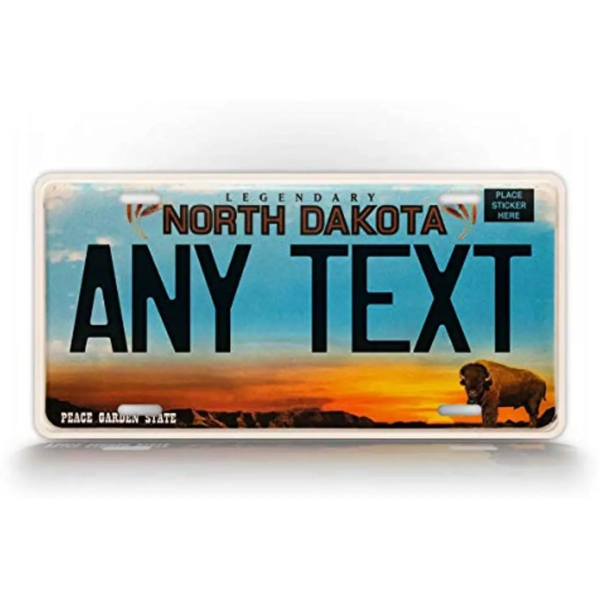 1997-2001, необычный номерной знак Огайо, любой текст, персонализированный, OH State, место рождения, авиационное Украшение стен, металлический настенный знак