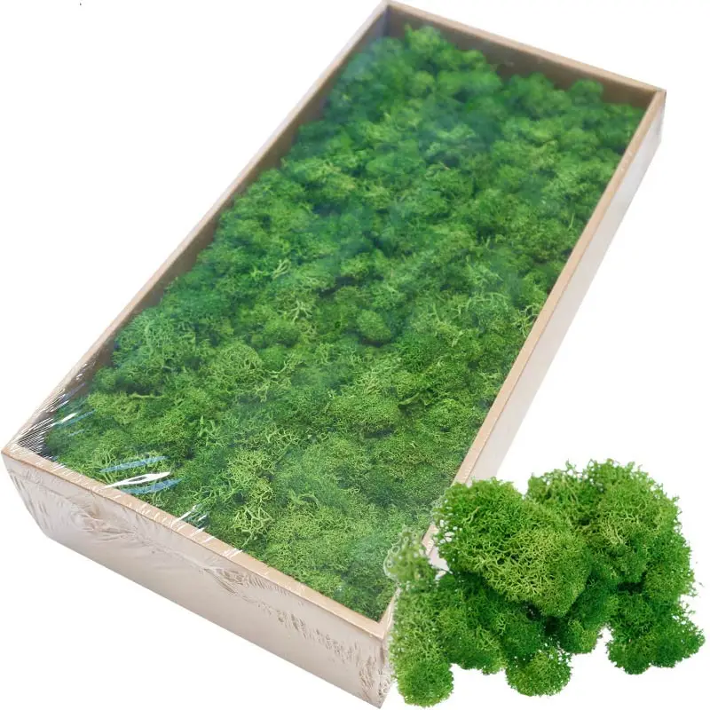 

500G A Grade Artificial Green Plants Everlasting Moss Grass Home Living Room Garden Decoration Diy Wedding Party Decoration