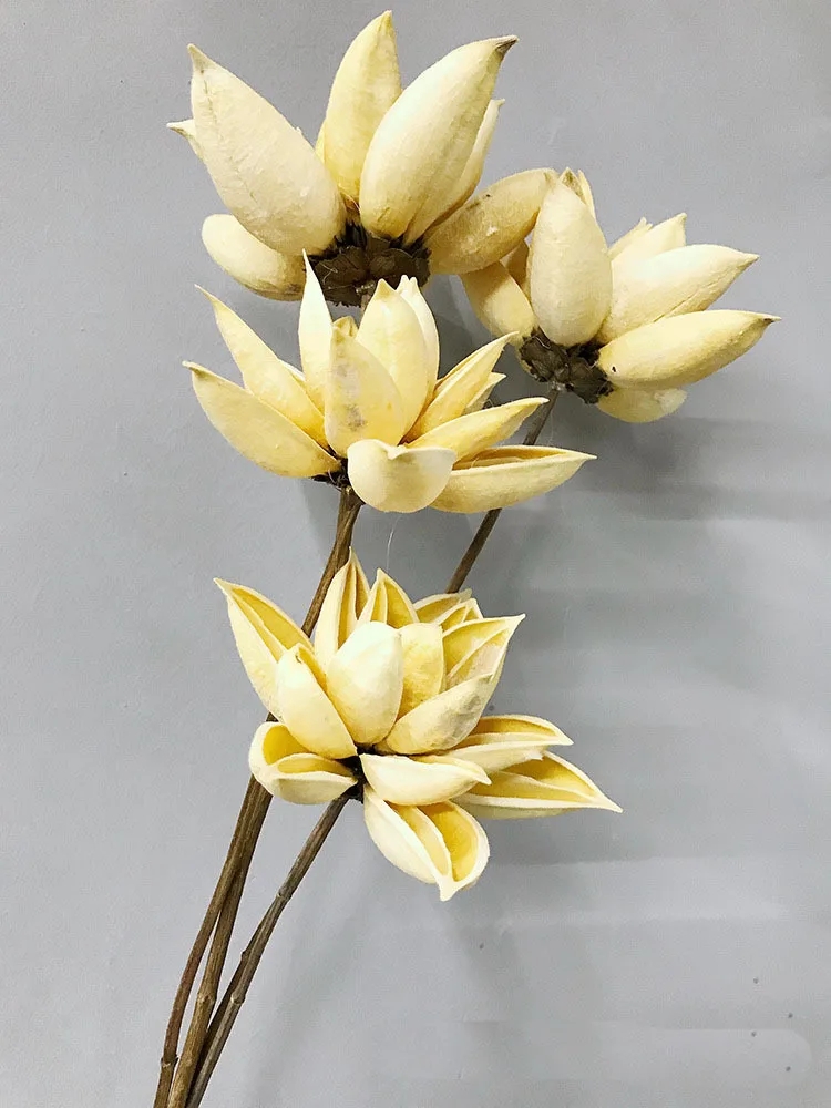 

Сушеные цветы лотоса ручной работы, набор из 3 штук