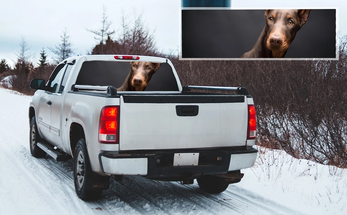 Doberman Pinscher Автомобильная фотография грузовик перфорированная виниловая живопись