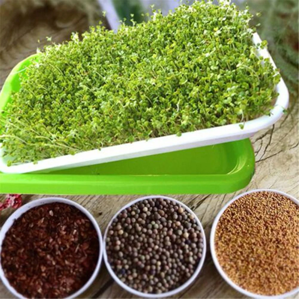 

Seedling Tray Seed Starter Green Tray Double Layer Arc Soilless Cultivation For Gardening Bonsai Cat Grass Hydroponics 2022