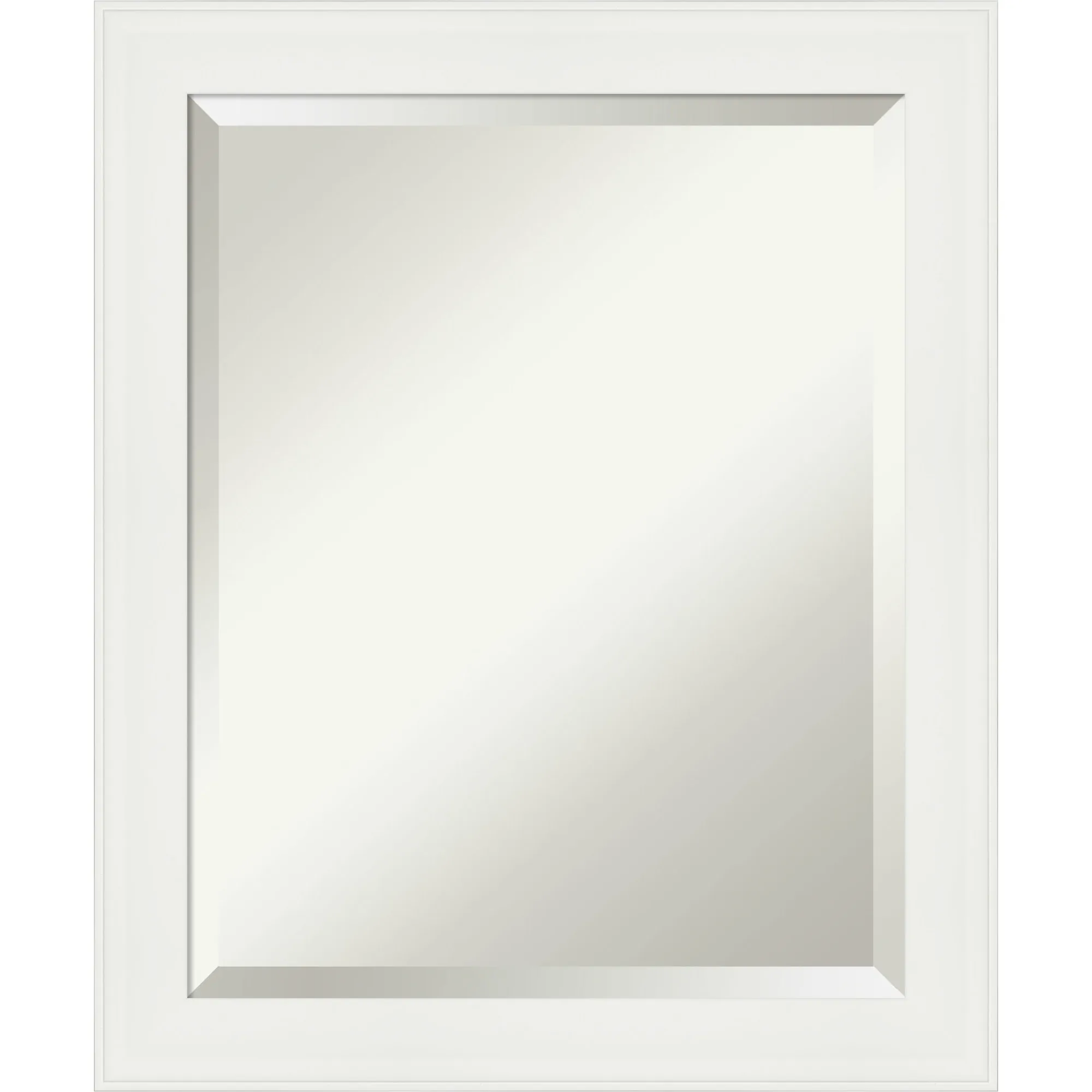 

HMTX Dsw4593026 23-3/8" X 19-3/8" Transitional Rectangular Beveled Polystyrene