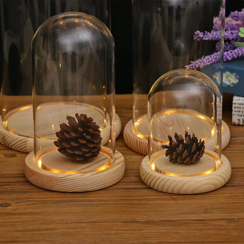 Terrarium Container Decor Tabletop Display Glass Cover Dry Flower Ornaments Craft Bell Jar Wood Base with Feet LED Light Holder