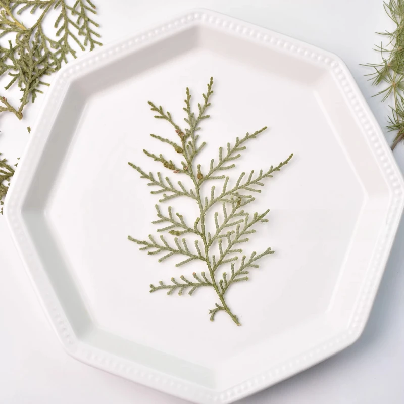 

Натуральные сухие листья и сосновые иглы NYAConfetti 12 шт.