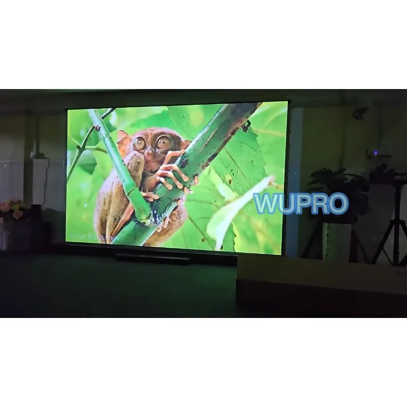 Фото Оптовые поставки проекционных экранов Wupro LeApex Soft Matte Gray с моторным приводом, 4K, 100 дюймов, 16:9, кинематографический, напольный, выдвижной экран для проектора. №5