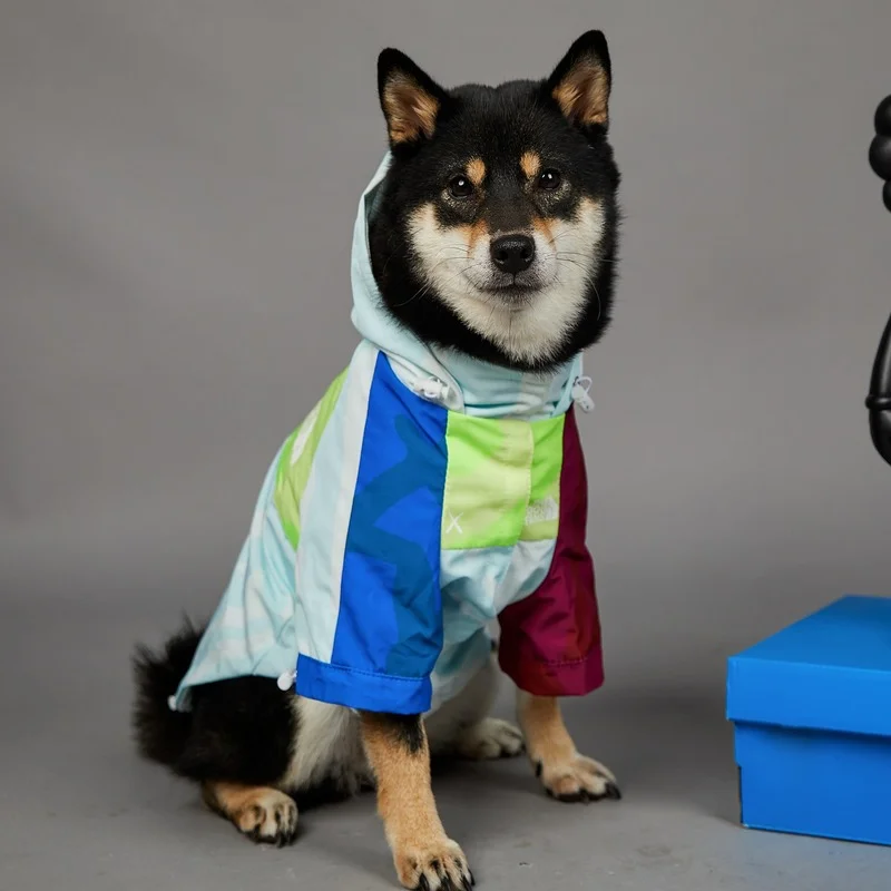 

Одежда для домашних питомцев с изображением лица собаки, дождевик для маленьких и больших собак, ветровка, толстовка с капюшоном в виде французского бульдога для собак, одежда для чихуахуа