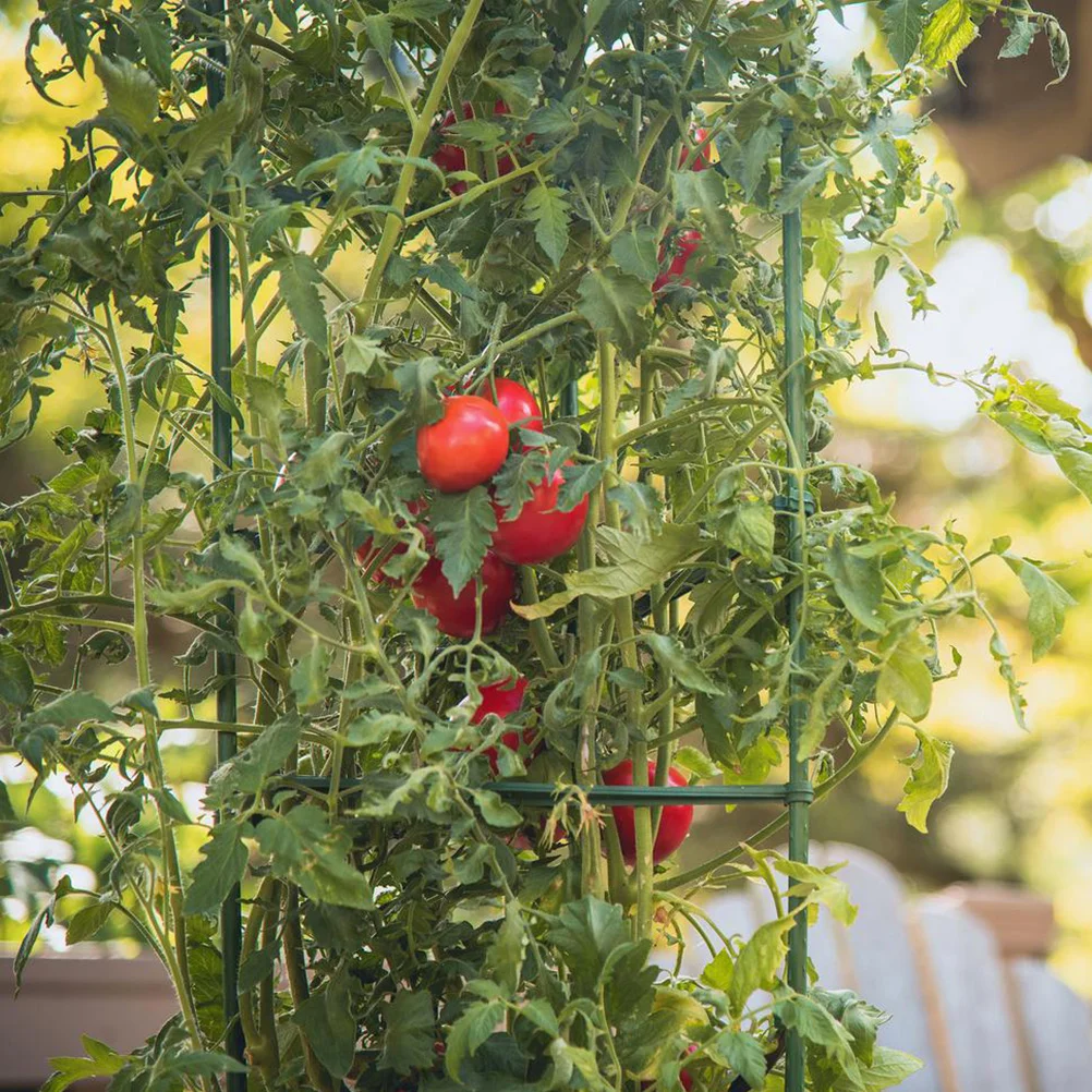 

12 Support Premium Stakes Garden Accessories for Outdoor Home Garden