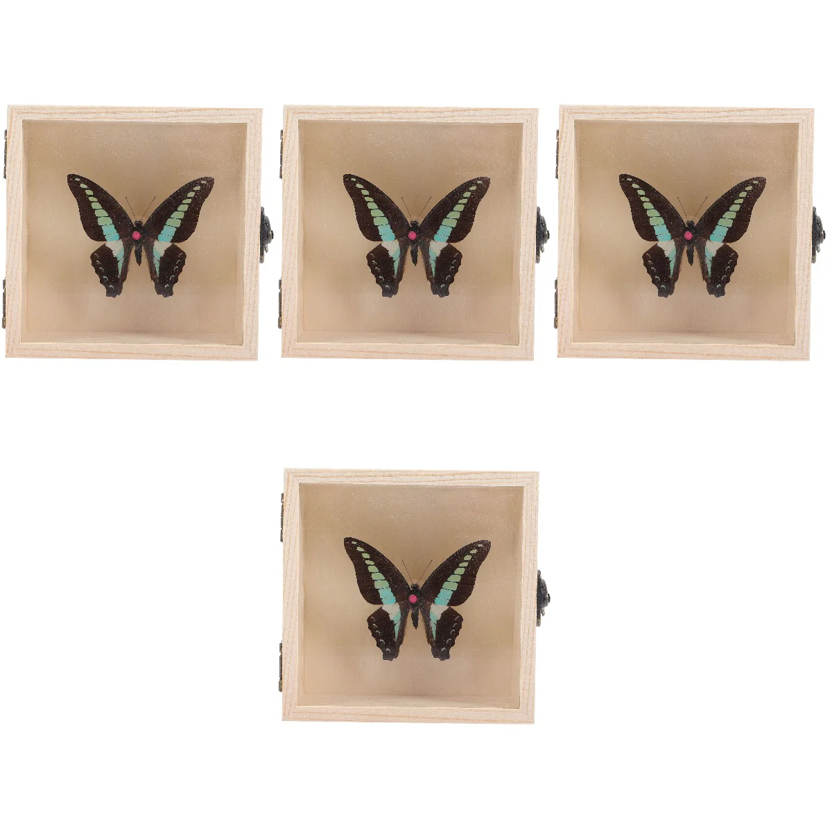 

4 Set Picture Frame Desktop Decor Specimen Pendant Office Decor Butterfly Specimen Props Desktop Ornament